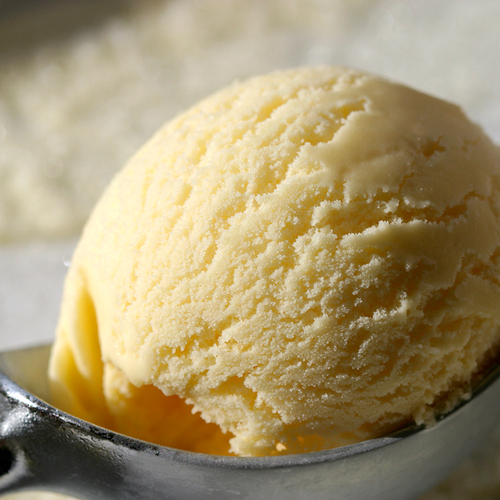 Vanilla Scoop Ice Cream Perfect for creating Milkshakes Projuice