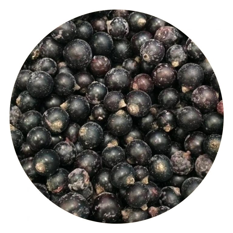 Buy Bulk Frozen Fruit Wholesale Fruit Suppliers & Distributors