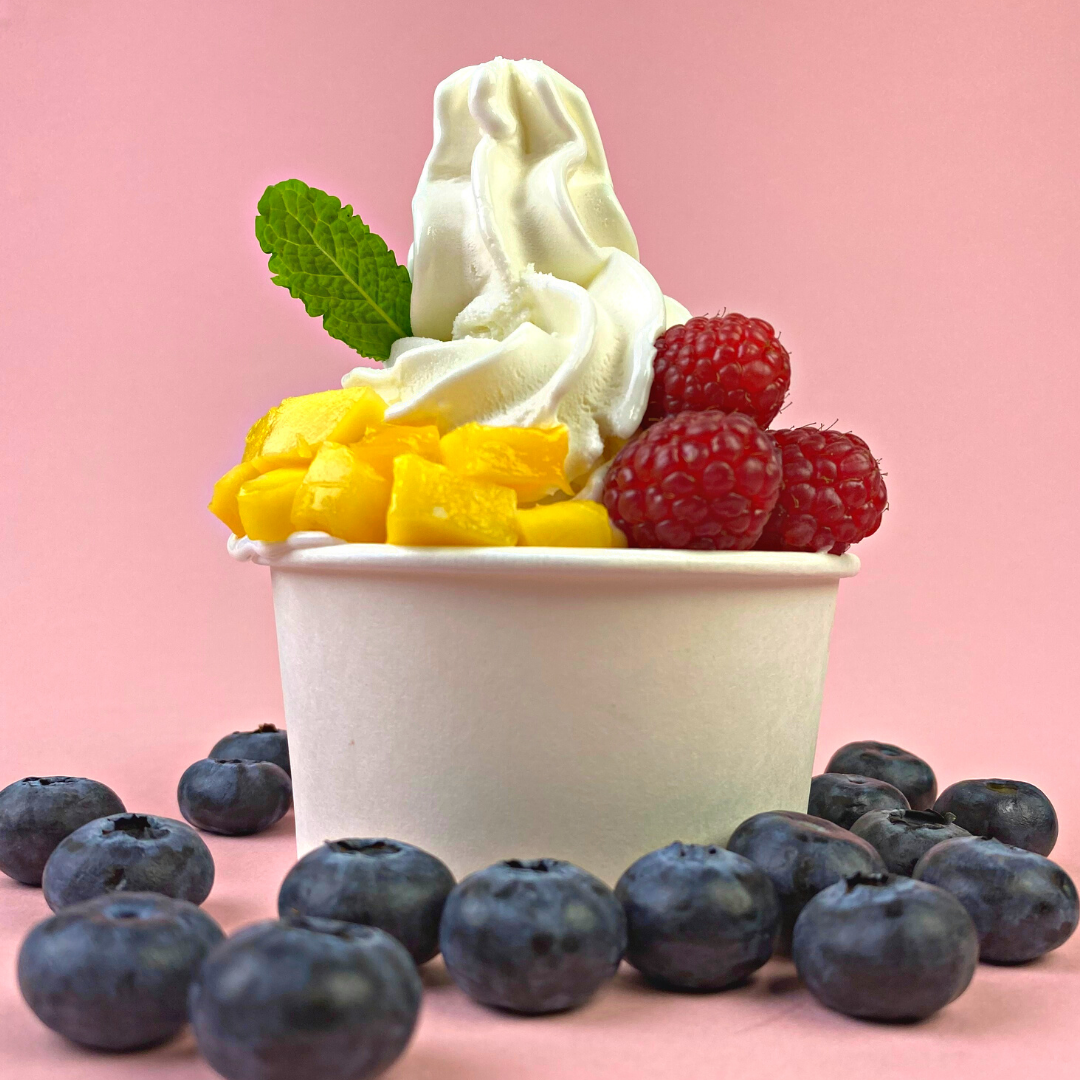 Frozen Yogurt Ice Cream Serving Idea