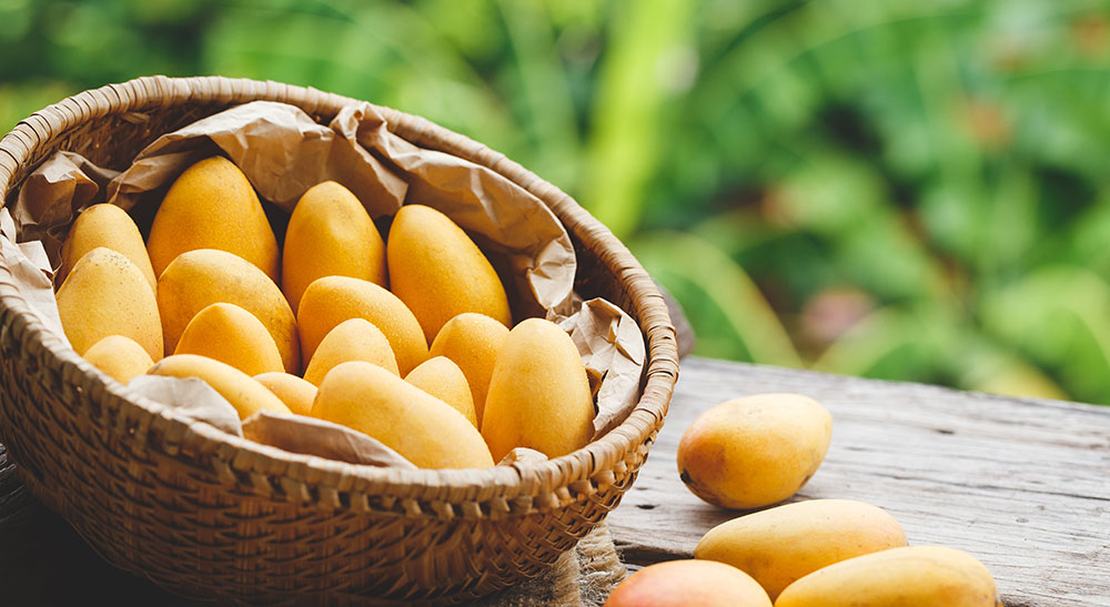 Mangoes in a basket